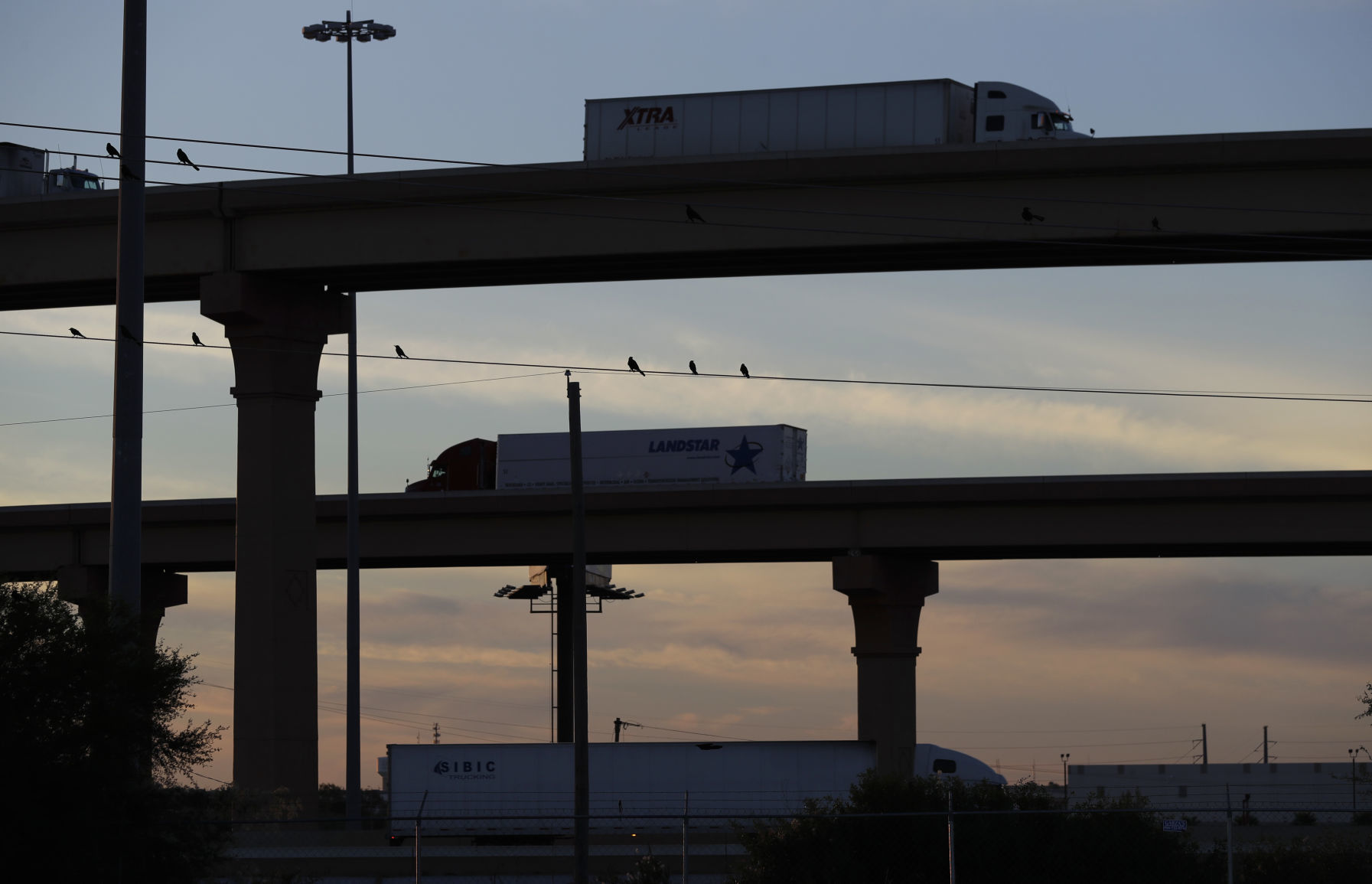 76. Laredo